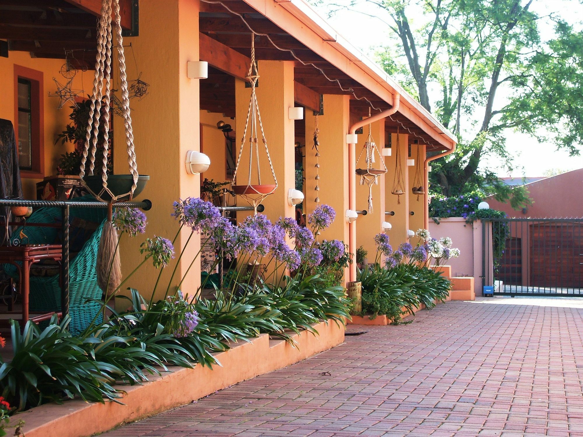 Cherry Tree Cottage B&B Linden Johannesburg Luaran gambar